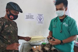 PDHI Sulselbar tangani 30 kucing terdampak gempa Sulbar