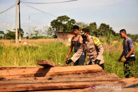 Polisi tangkap pembalak hutan Taman Nasional Gunung Leuser