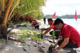 Kader PDI Perjuangan Sumbar tanam ribuan pohon
