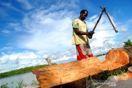 Indonesia targets food self-sufficiency in Papua within three years