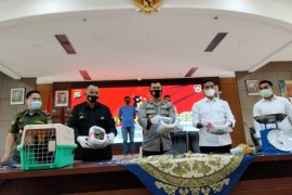 Polda Sumbar ungkap kasus jual beli satwa dilindungi