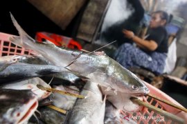 Harga Ikan Asap Naik Akibat Pasokan Menurun Page 1 Small