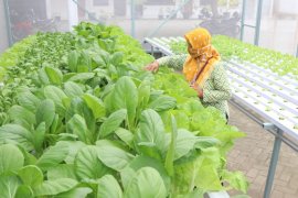 Remaja Kota Kediri diajak menjaga pola makan selama pandemi