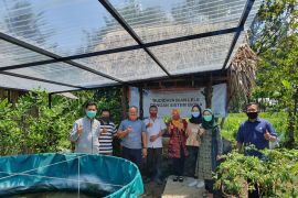 Dosen UMM "kawinkan" solar cell dan biona untuk budi daya ikan lele