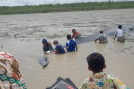 Nelayan dan tim gabungan  selamatkan ikan paus terdampar