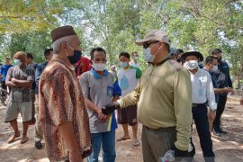 Pemprov Babel siapkan 5.000 hektare kawasan rumput laut