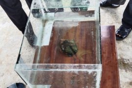 Itera teliti kebenaran batu meteor di Desa Astomulyo Lampung