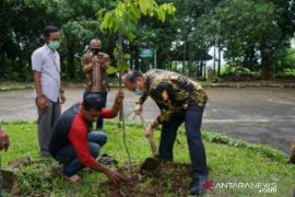 Tingkatkan keuntungan petani gaharu, Gubernur Erzaldi gaet Puslitbanghut LIPI