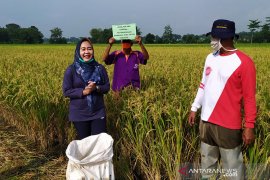 Pemkab Purbalingga intensifkan program regenerasi petani