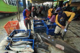 Perikanan tangkap Indramayu sumbang 40 persen produksi Jawa Barat