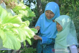 Akademisi: Pandemi COVID-19 ubah pola suplai dan akses makanan