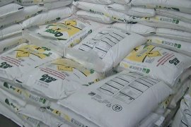 Temanggung dapat alokasi pupuk subsidi 95 ribu ton