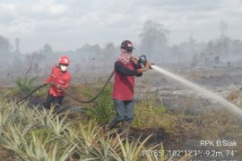 Ada kebakaran hutan di dekat  konsesi Sinarmas