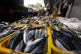 HARGA IKAN MELONJAK DAMPAK CUACA BURUK Page 5 Small