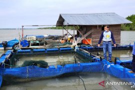 18 Pokdakan Kep Meranti peroleh bantuan budidaya perikanan