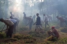 Padat karya tunai di Batanghari tingkatkan daya beli masyarakat
