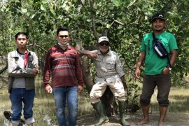 Puncak HPN, PWI dan Polres Inhil tanam mangrove di Pantai Terumbu Mabloe