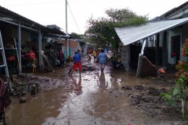 Pakar: Tutupan lahan di hulu DAS Bedadung Jember kondisinya kritis