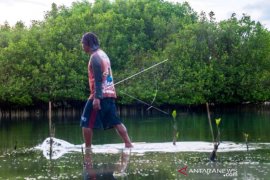 Target Rehabilitasi Mangrove Page 1 Small