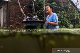 Tercatat 372 kejadian bencana alam sejak awal 2021