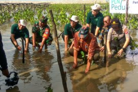 Upaya PLN kembangkan Desa Wisata Mangrove di Sungai Bakau Mempawah