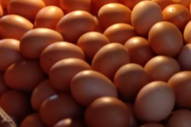 Harga telur ayam ras di pasar tradisional Kota Ambon turun