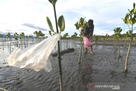 Aksi bersih sampah kawasan konservasi Mangrove Page 1 Small