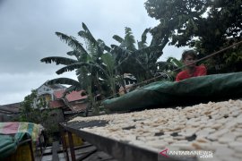 Produksi kerupuk kemplang menurun akibat musim hujan Page 5 Small