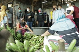 Tim Kementerian kunjungi empat sektor industri di Lumajang