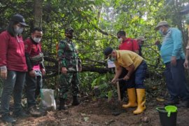 KPH bersama Pemkab Tabalong tanam 1.000 bibit Kayu Ulin