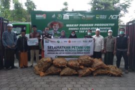 Bantu petani, ACT-MRI Jember distribusikan satu truk ubi ke pesantren