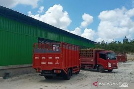 Pertamina sidak gudang penyimpanan gas elpiji tiga kilogram