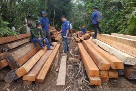Polisi belum tetapkan tersangka kasus dugaan ilegal logging Kapuas Hulu