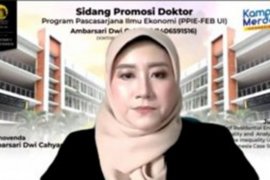 Doktor FEB UI lakukan penelitian faktor yang pengaruhi distribusi energi