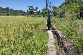 Di Aceh Jaya, pompanisasi air untuk sawah tak berfungsi sejak dibangun 2015