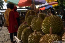 Pedagang Musiman Durian di Madiun