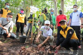 Tanah Bumbu gandeng Dinas Kehutanan Kalsel hijaukan hutan gundul