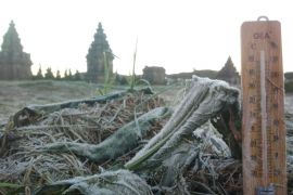 Objek wisata Candi Arjuna kembali dibuka