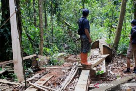 DPRD HST : Jangan sampai polisi kehutanan terkesan terlibat ilegal logging