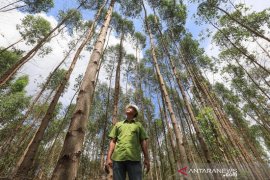 Dukung program pemerintah, kemitraan program HTR bawa manfaat