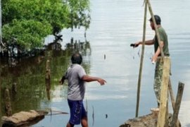 Fakta unik tandong air kurangi warga diserang buaya