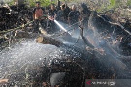 Upaya Pemadaman Kebakaran Lahan Gambut Di Aceh Barat Page 1 Small
