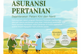 Distan targetkan ribuan hektare sawah  terdaftar asuransi