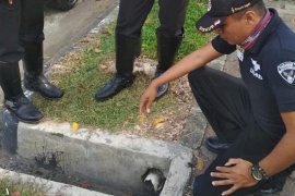 Keterlaluan, kabel lampu lalu lintas di Padang kembali raib dicuri