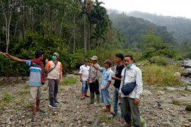 Harimau masuk perkampungan di Rao Utara dipastikan dua ekor