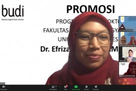 Kandidat Doktor UI teliti model spasial determinan kasus DBD