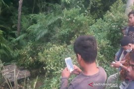 Elakkan sepeda motor, mobil masuk jurang di Tapsel, 6 warga Padang Sidempuan selamat