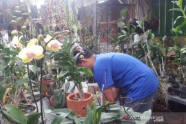 "Mustika Desa" upaya Temanggung percepat pemulihan ekonomi