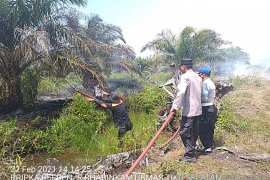29,5 hektare lahan kebakaran, kerugian capai ratusan juta