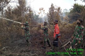 Karhutla di Kecamatan Tualang Mandau tinggal pendinginan